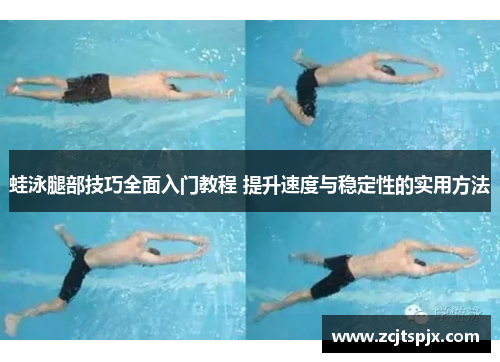 蛙泳腿部技巧全面入门教程 提升速度与稳定性的实用方法